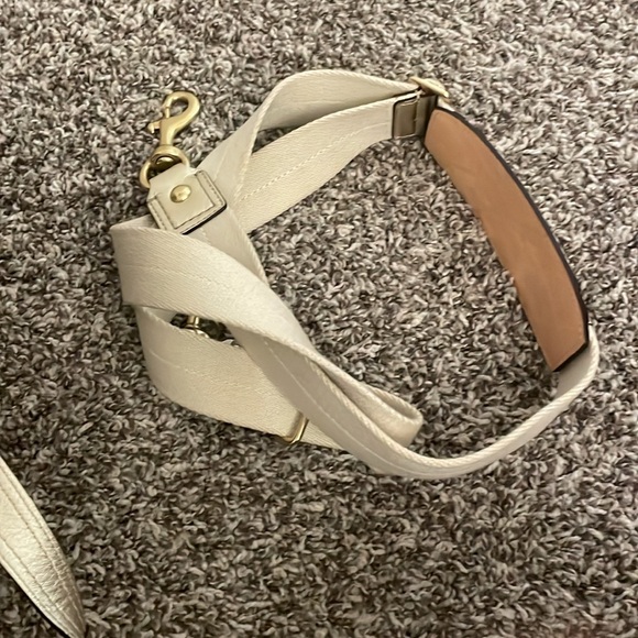 Coach dog carrier - Picture 12 of 13